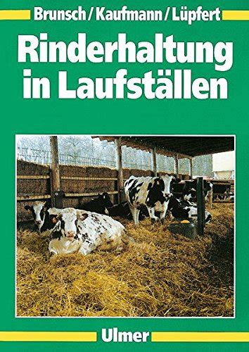 Rinderhaltung in Laufställen - Brunsch, Reiner, Kaufmann, Otto, …