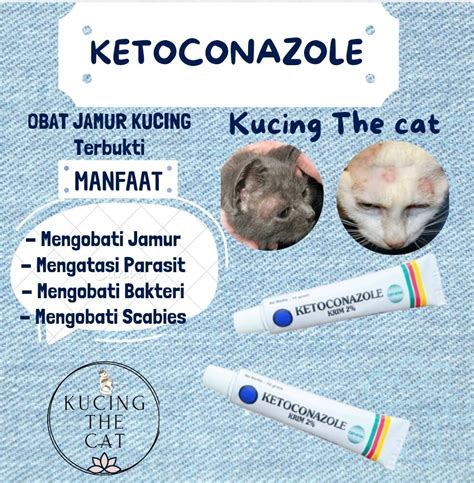 Ringkasan peraturan otoritas jasa keuangan 【Jual salep scabies kucing terlengkap】