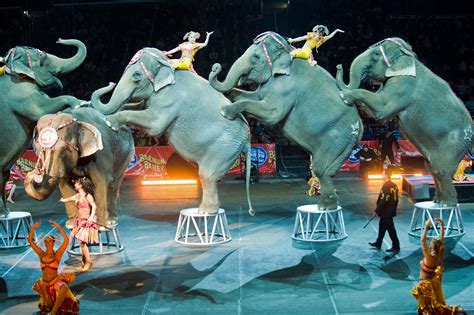 Ringling brothers circus