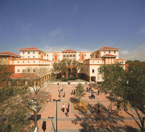 Ringling institute of art and design. Things To Know About Ringling institute of art and design. 