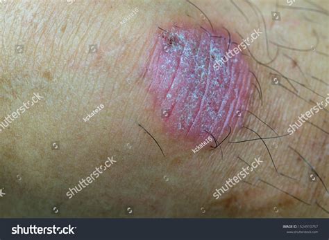 codini.rgarabwor.edu.pl. 