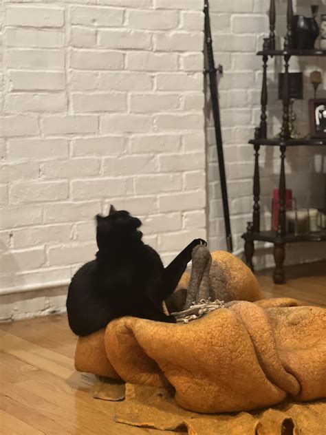 🍆 Riosierhaus Onlyfans Leak PORN