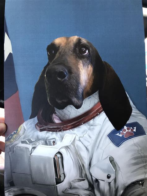 Rip devon. .  RIP handsome! Reply reply thedogdundidit • You Say Party! We...