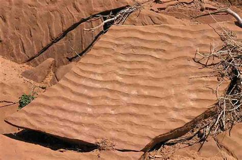 Ripple mark merupakan salah satu struktur sedimen yang terbentuk akibat aktivitas erosional. Pengertian ripple itu sendiri adalah suatu bentukan struktur yang menunjukkan adanya.. undulasi berjarak teratur pada permukaan pasir atau pada permukaan perlapisan batupasir. Perkembangan dari struktur ini adalah cross ….