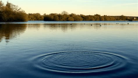 Ripple stream. Underwater earthquakes push water upward to create the initial movement, then gravity pulls the water downward, creating the horizontal force that forms the tsunami. The waves trav... 