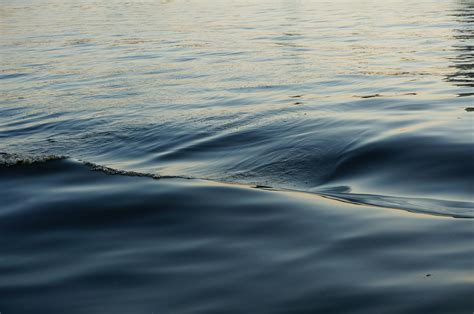 🍌 Rippling Leaked [SEX VIDEO] 138 Vids