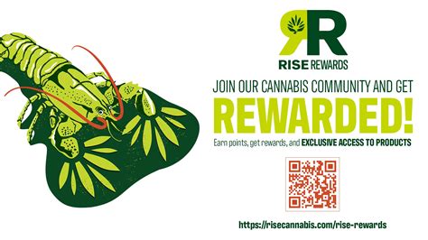 RISE Dispensary, Warwick, RI. RISE Dispensary is truly the peak of medical marijuana quality in Rhode Island. This exceptional dispensary has been providing people in Warwick and beyond with premium herb and a comfortable, welcoming experience since 2014. RISE exclusively sells Rhode Island-grown cannabis so you can get the products you want ...