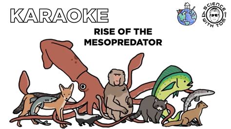 Rise of the Mesopredator