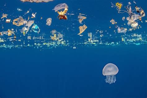 Rising tide of floating plastics spurs surge in research - Nature