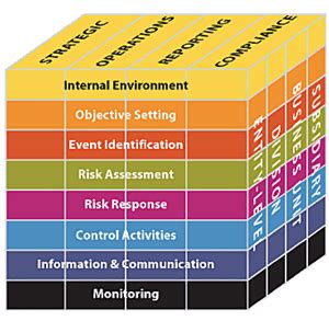 Risk Management, cos