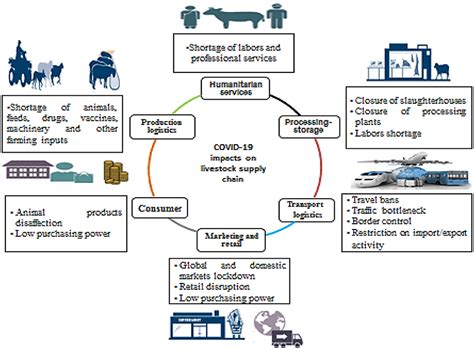 Risk Management When Facing Pandemic Impacts and Cattle …