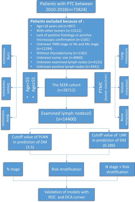 Risk of lymph node metastasis in patients with