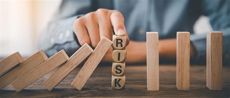 Risks and Challenges Associated with SHIB