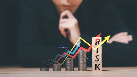 Risks and Considerations When Investing in Generative Mekas