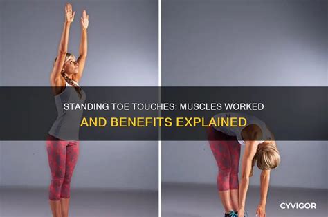 Risks of exercise for older adults.  Standing Toe Touches.  It is important to know how much se...