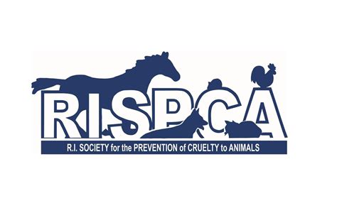 Rispca - The Rhode Island SPCA works with all domestic animals. At any given time, you can find dogs, cats, and small animals including rabbits and guinea pigs at our shelter. With the help of our established foster care network, we also work with large animals including horses, ponies, donkeys, goats, sheep, pigs on a regular basis. 