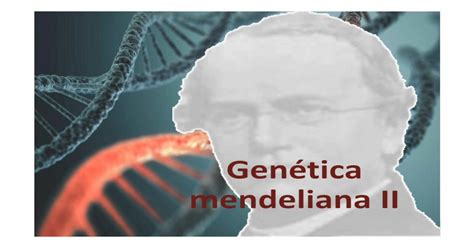 Risposte per la guida allo studio sezione 2 genetica mendeliana. - Ibm 1401 users manual johann johannsson.