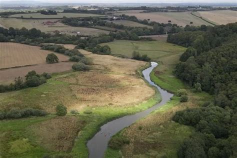 River Arun Fishing Fishery Guide