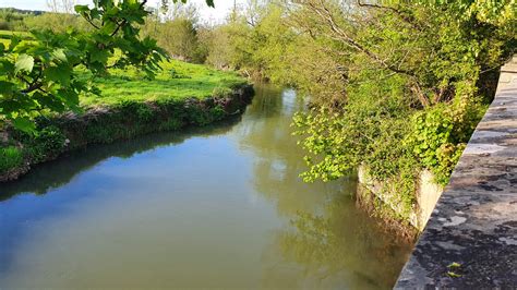 River Lugg - Wergins Bridge - Hereford & District Angling Association