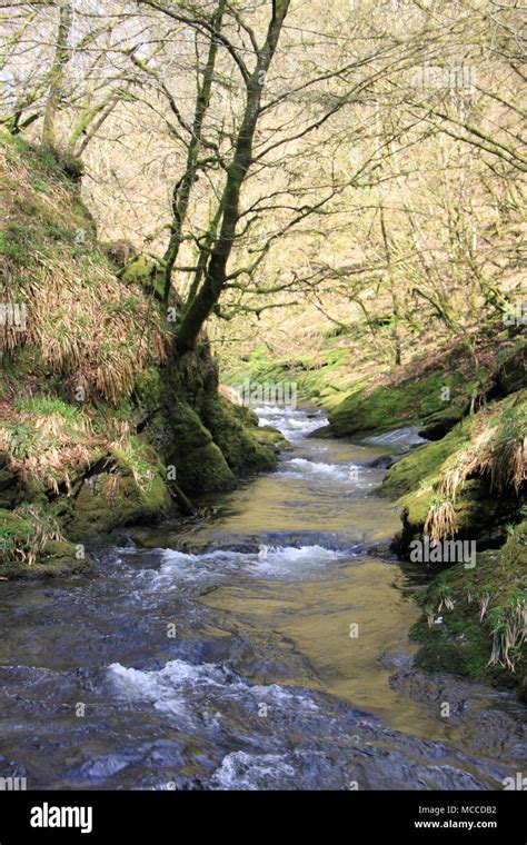 River Lyd, Devon - Wikipedia