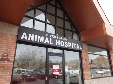 River forest animal hospital. River Oaks Animal Hospital is a Myrtle Beach veterinarian that provides health care services, diagnostics, surgery, dentistry, boarding & grooming services. 843.236.6080 Veterinarian Team 