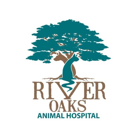 River oaks animal hospital. Things To Know About River oaks animal hospital. 