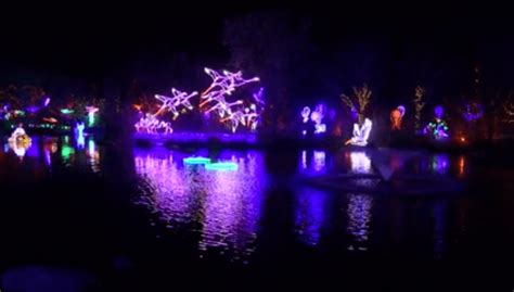 They came, they saw — and were dazzled, once again, at the opening night for River of Lights. The 25th annual display of over 700 twinkling sculptures — animated and 3D — and millions more ...