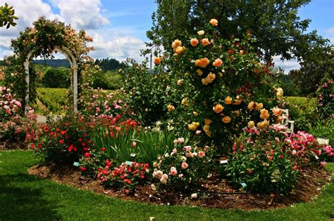 River roses up higher than the street, water came into the property …