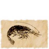FINAL FANTASY XIV, Fishing Database - Cat became hungry This plump and delicious prawn is a popular main ingredient on the isle of Thavnair. Baked whole or added to curry, no part of the crustacean is wasted─even a meal's leftover shells find their way into alchemical concoctions.