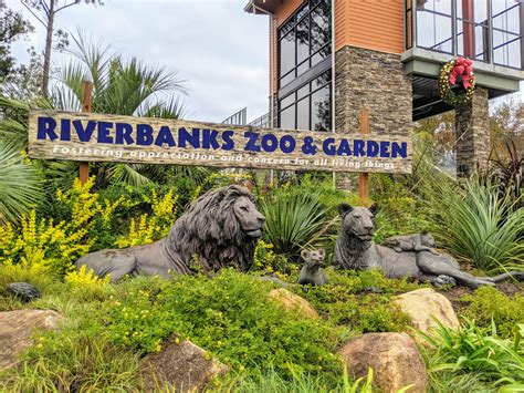 Riverbanks zoo & garden. Play Video. Bridge to the Wild, Riverbanks Zoo and Garden’s newest innovative vision, will transform the Zoo and Garden into the state’s leading conservation resource and elevate its stature as the Southeast’s premier destination for family fun. This exciting next phase of Riverbanks’ future will connect communities and immerse guests ... 