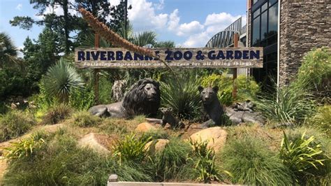 Riverbanks zoo columbia sc. Riverbanks Zoo Splashpad. Within the Botanical Gardens, you will find Waterfall Junction – Riverbanks Zoo Garden’s very own huge splash pad and kiddy play zone! This area spans across 3-acres and includes a splash pad, life-size dinosaur fossil dig, a large treehouse, playhouses, and an open green space for … 