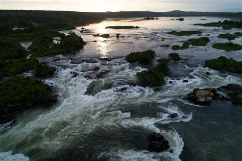 Rivers and Biodiversity International Rivers