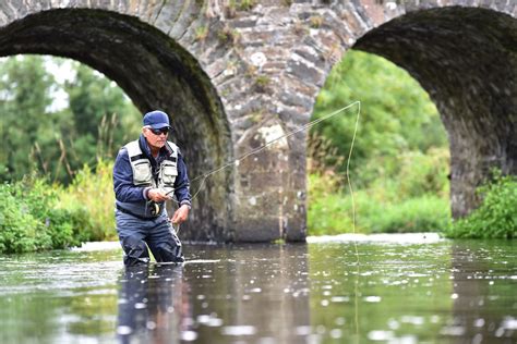 Rivers of ireland fly fishers guide. - Regioni e dinamiche di integrazione europea.