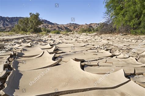 Rivers_Irl Leaks [PPV] 😈 124 Photos