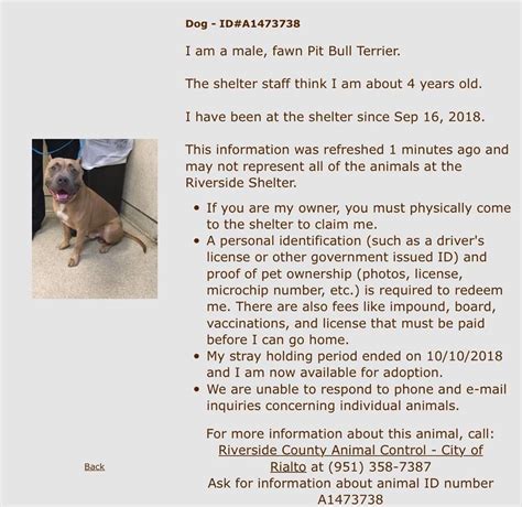 Riverside animal shelter euthanasia list. 33751 Mission Trail Wildomar, CA 92595. 951-674-0618. Animal Friends of the Valleys is dedicated to promoting humane care of animals through education and a humane, proactive animal services program.... 