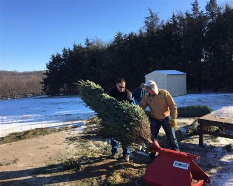 Riverview Christmas Tree Farm - Events Facebook