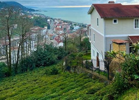 Rize Çayeli Otelleri & 2024 Rize Çayeli Otel Fiyatları. 