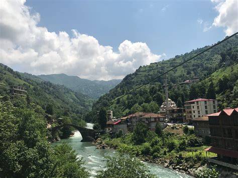 Rize Ardesen Isikli Mahallesi terapi halı yıkama