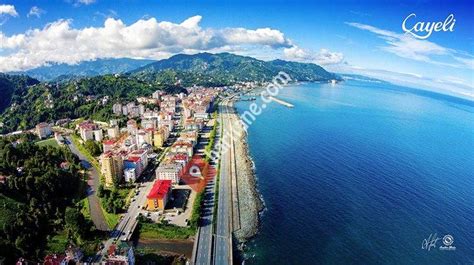 Rize Cayeli terapi halı yıkama