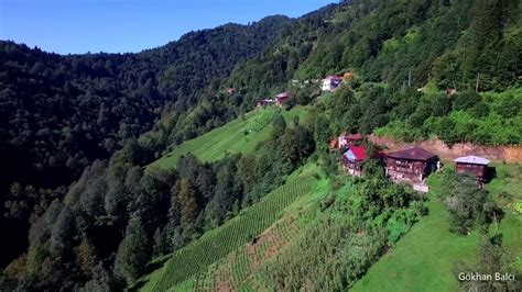 Rize Cayeli Incesirt Mahallesi terapi halı yıkama