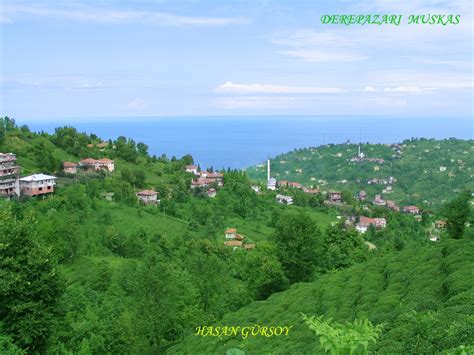 Rize Derepazari terapi halı yıkama