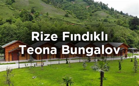 Rize Findikli terapi halı yıkama