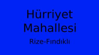 Rize Findikli Hurriyet Mahallesi terapi halı yıkama
