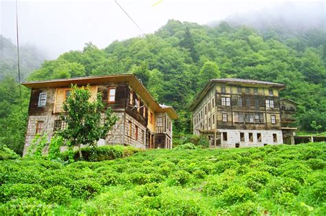 Rize Hemsin terapi halı yıkama