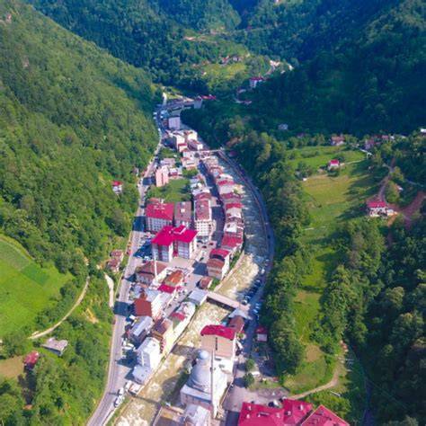 Rize Ikizdere En Yakin terapi halı yıkama