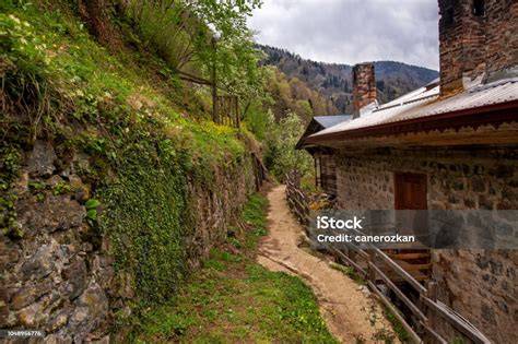 Rize Ikizdere Yesilyurt Mahallesi terapi halı yıkama