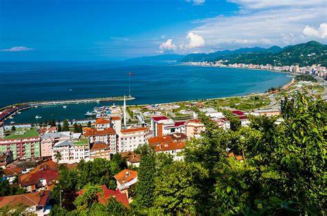 Rize Merkez terapi halı yıkama