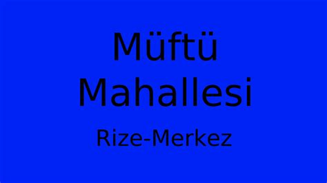 Rize Merkez Muftu Mahallesi terapi halı yıkama