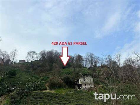 Rize Pazar Cumhuriyet Mahallesi terapi halı yıkama