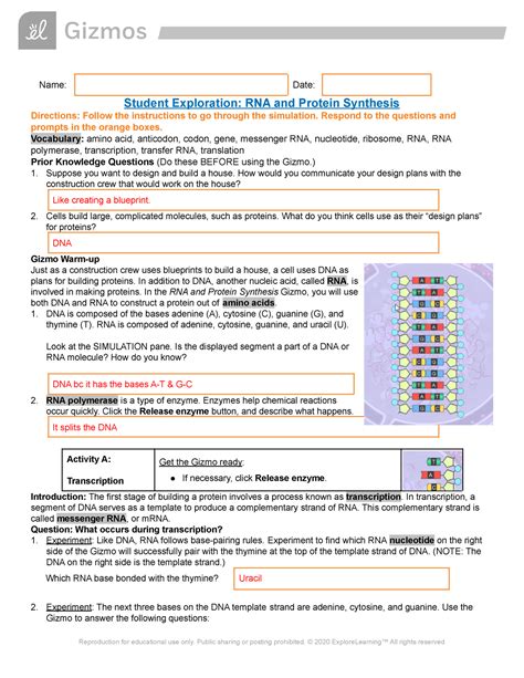 Rna and protein synthesis gizmo. Things To Know About Rna and protein synthesis gizmo. 